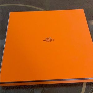 COPY - BRAND NEW HERMÈS animapolis scarf